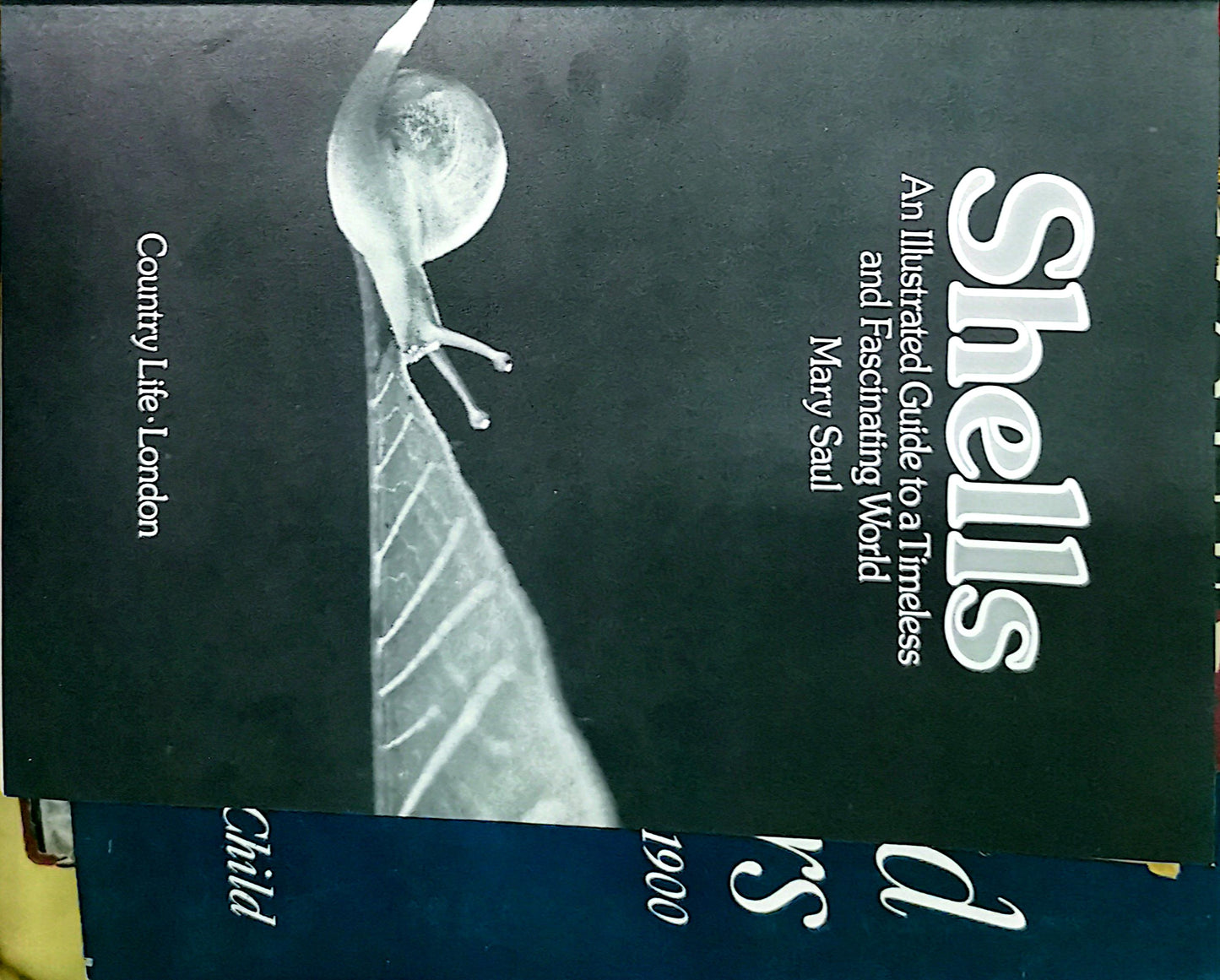 Shells: An illustrated guide to a timeless and fascinating world Hardcover – January 1, 1974 by Mary Saul (Author)