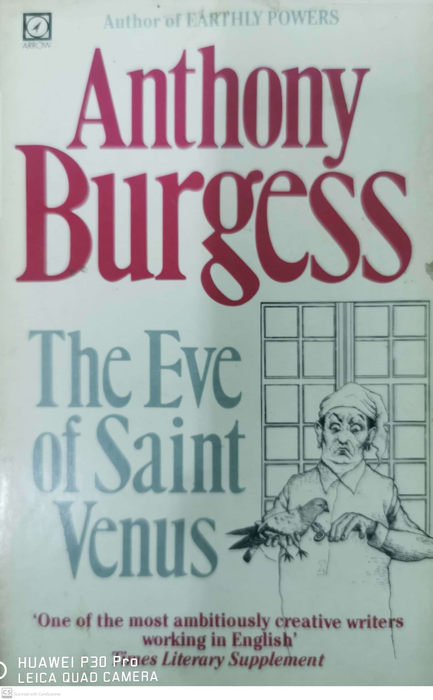 The Eve of Saint Venus Paperbackby Anthony Burgess (Author), Edward Pagram (Illustrator)