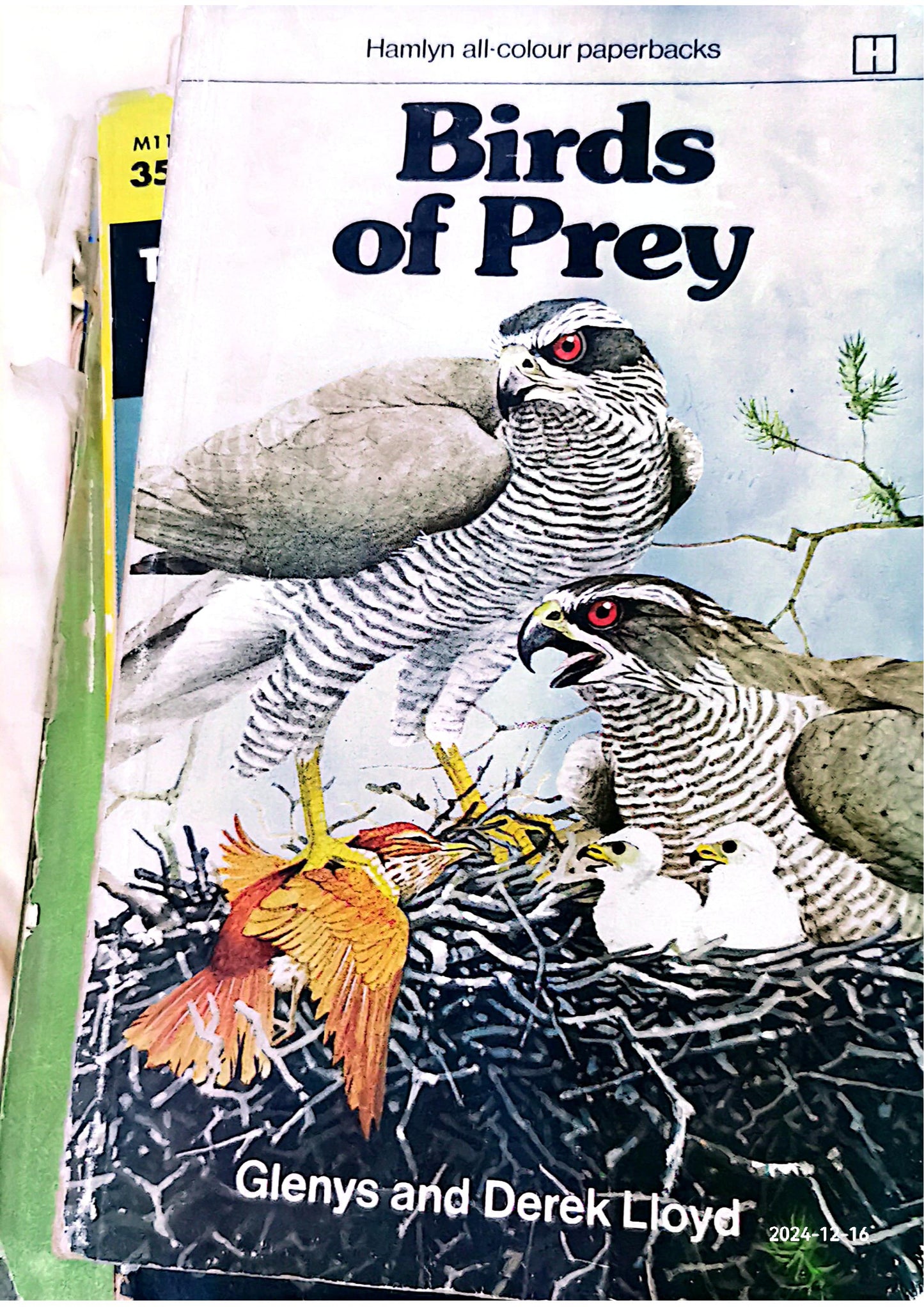 Birds of Prey Paperback – January 1, 1969 by Glenys Lloyd (Author)