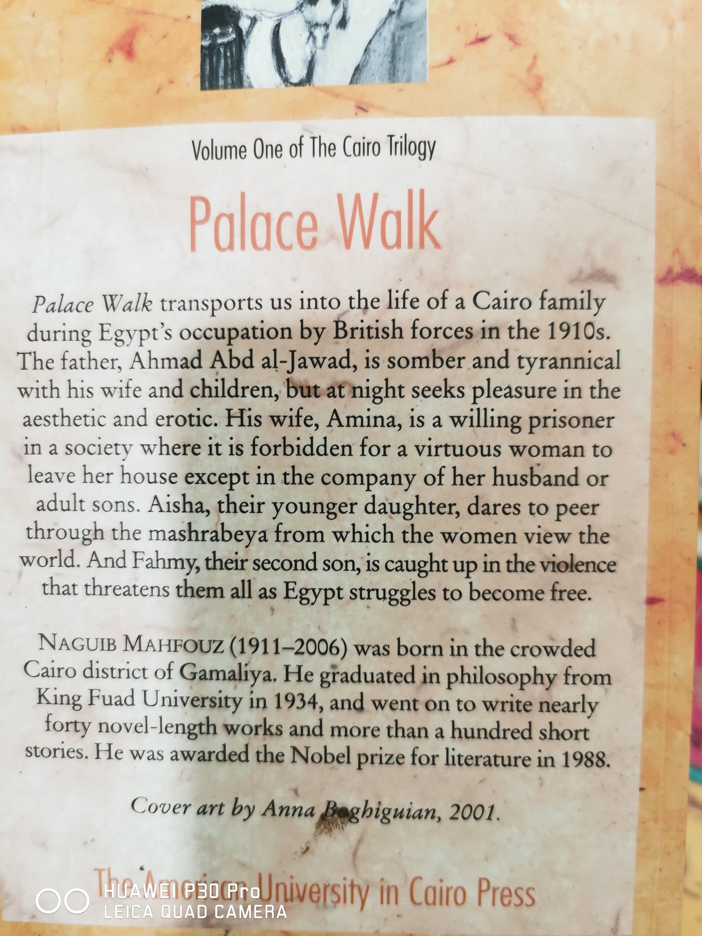 Palace Walk
Novel by Naguib Mahfouz