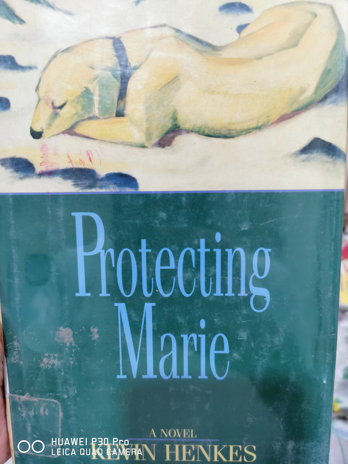 Protecting Marie
Book by Kevin Henkes