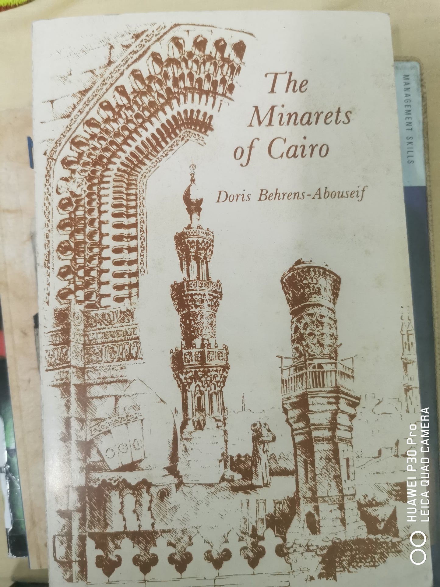 The minarets of Cairo Book by Doris Behrens-Abouseif