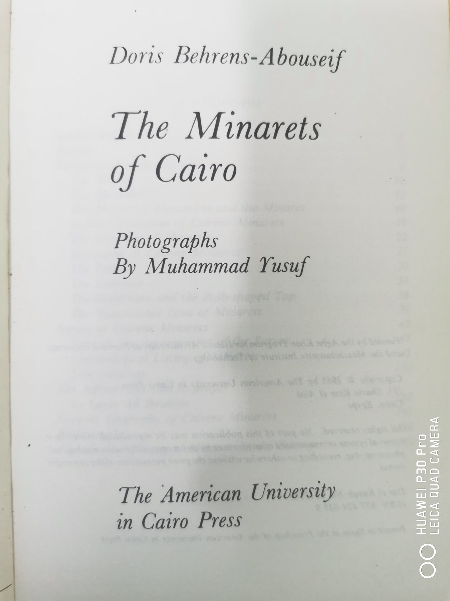 The minarets of Cairo Book by Doris Behrens-Abouseif