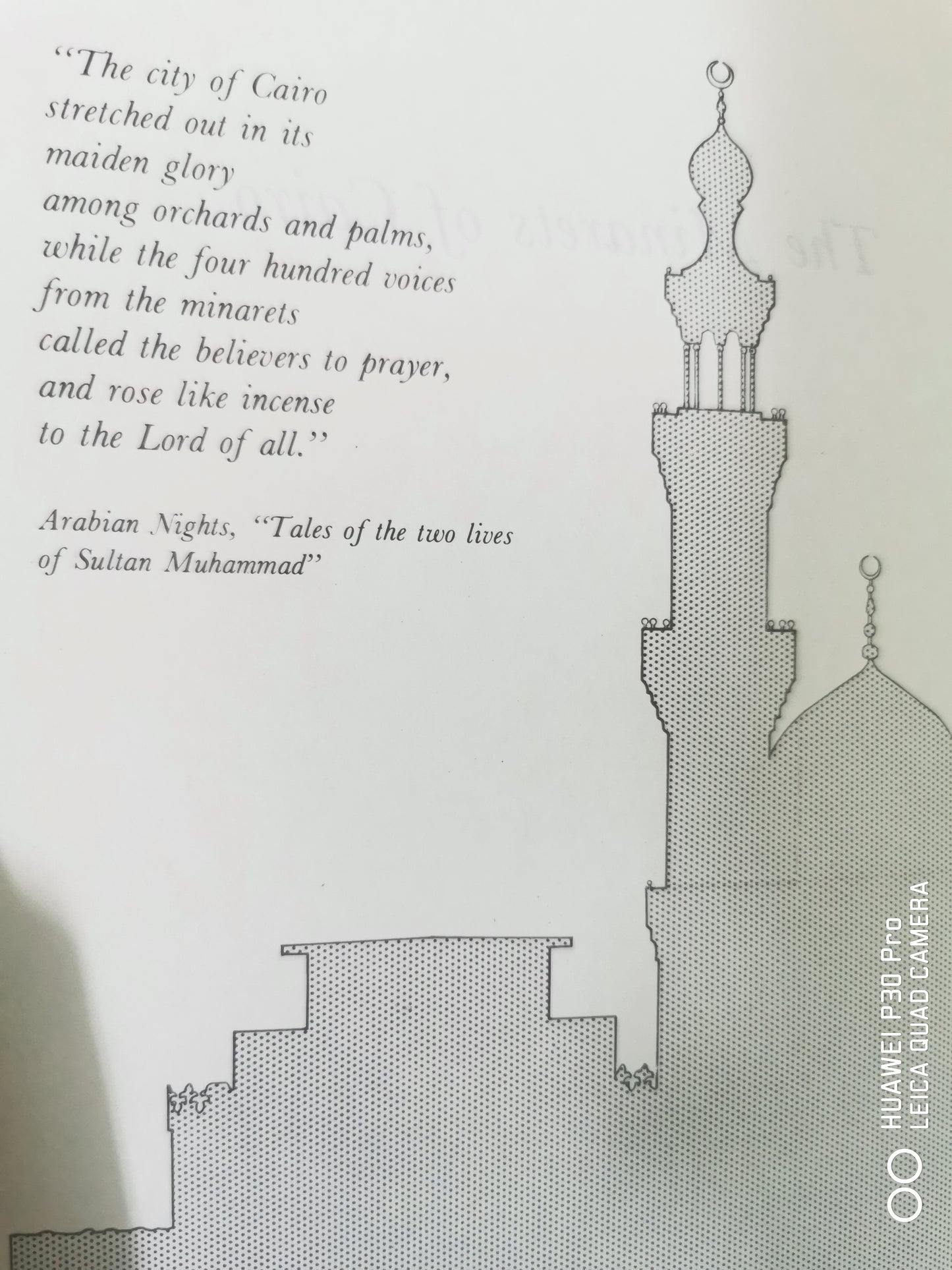 The minarets of Cairo Book by Doris Behrens-Abouseif