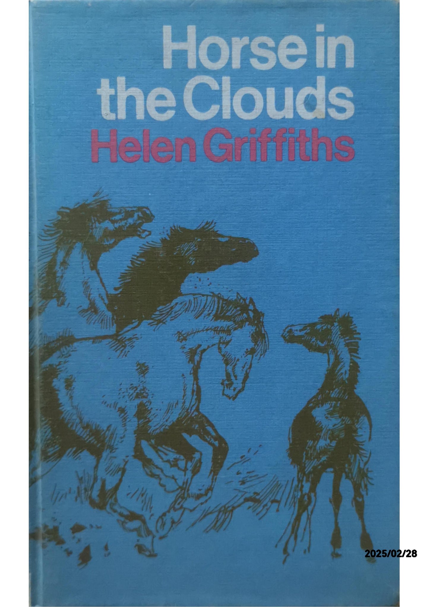 Horse in the Clouds Hardcover – January 1, 1958 by Helen Griffiths (Author)