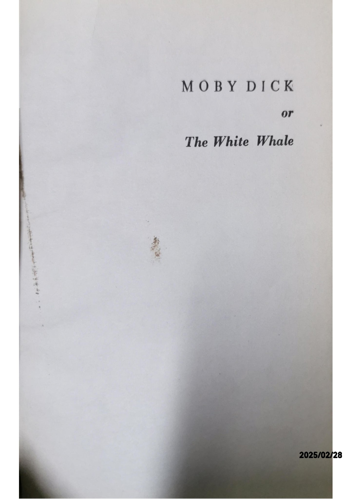 Moby Dick Paperback – November 6, 2018 by Herman Melville (Author)