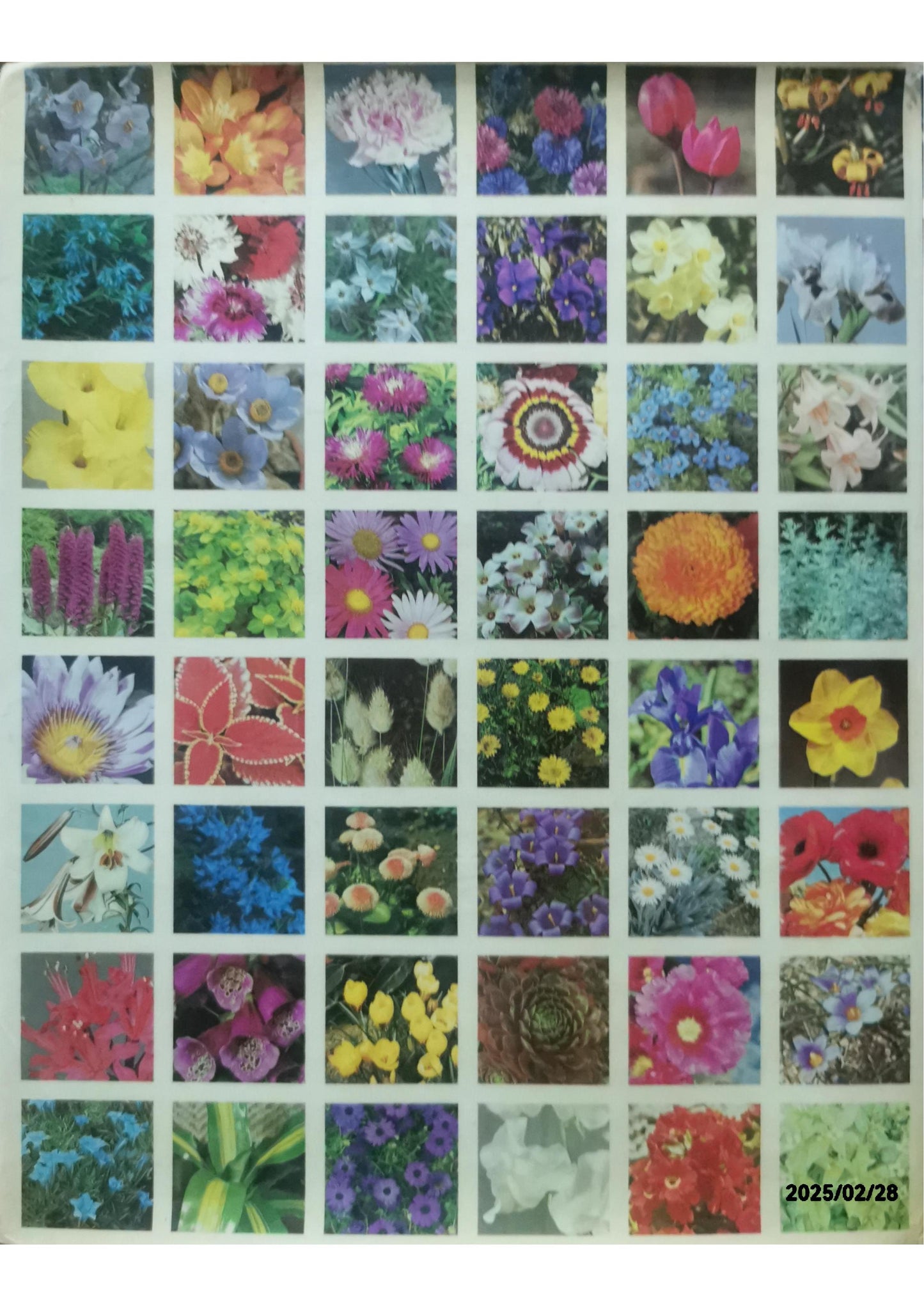 2000 FLEURS PLANTES ET ARBUSTES EN COULEUR Relié – 1 janvier 1971 Édition en Anglais  de HAY ROY / M.SINGE PATRICK (Auteur)