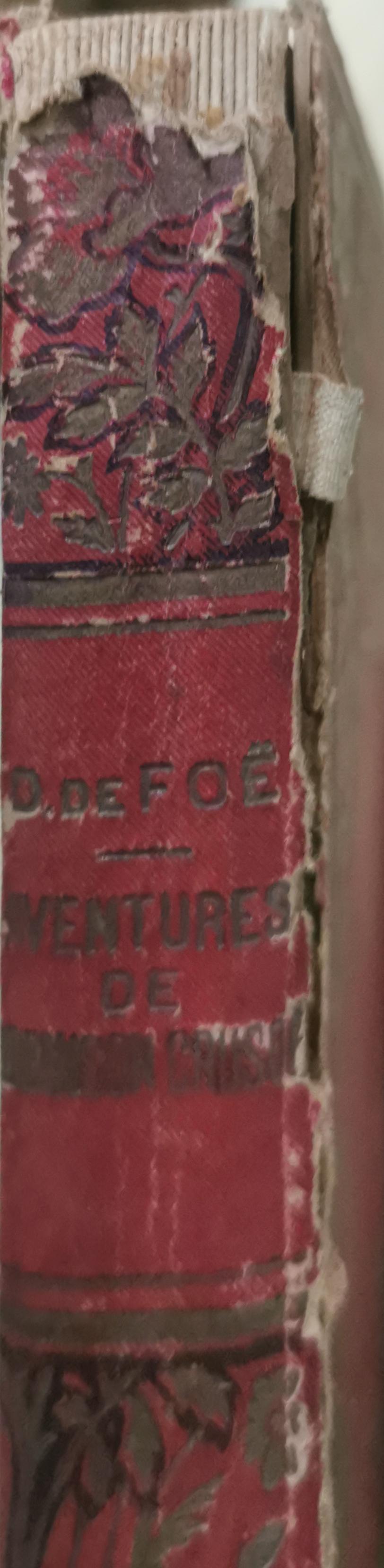 Aventures de Robinson Crusoé (French Edition) Hardcover –  French Edition  by Daniel Defoe (Creator), Paul 1804-1866 Gavarni (Creator)