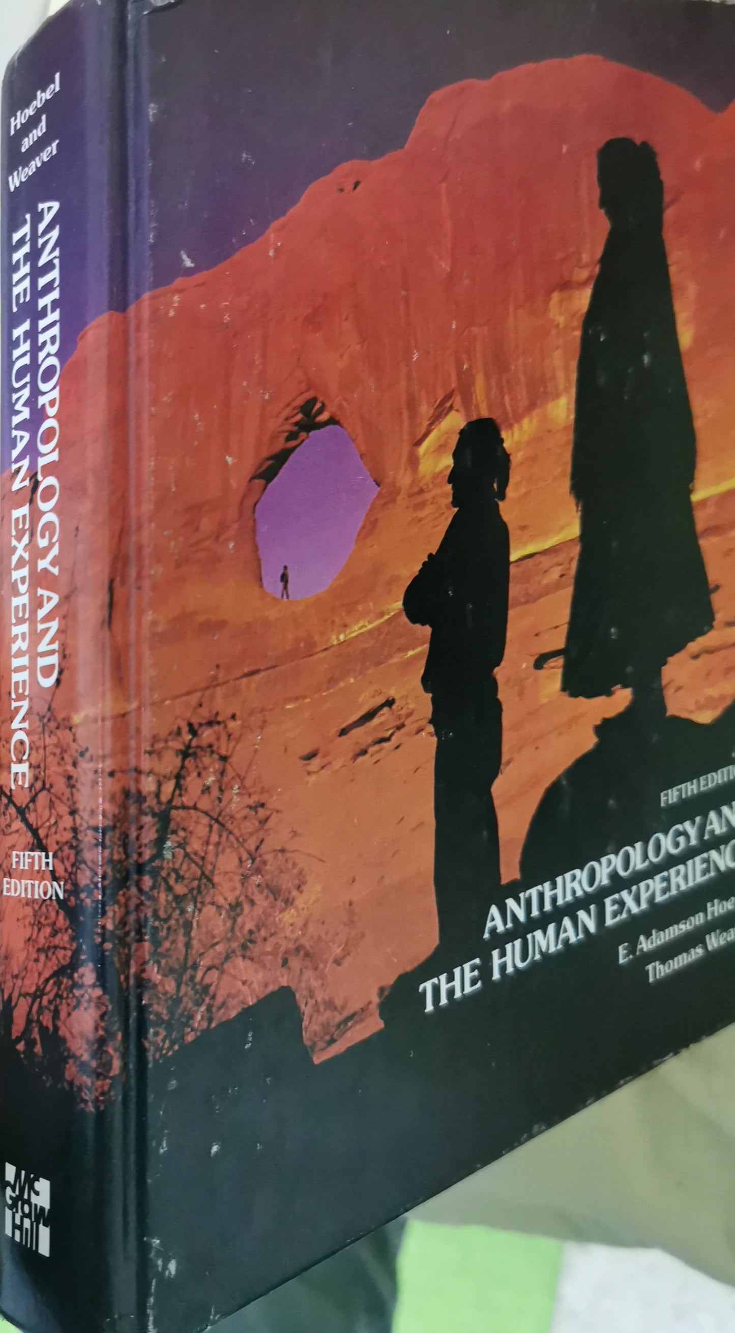 Anthropology and the Human Experience Textbook by E. Adamson Hoebel and Thomas Weaver