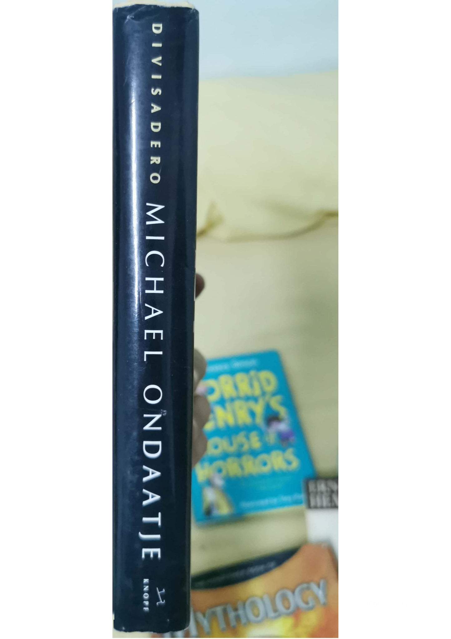 Divisadero Hardcover – HArdcover by Michael Ondaatje