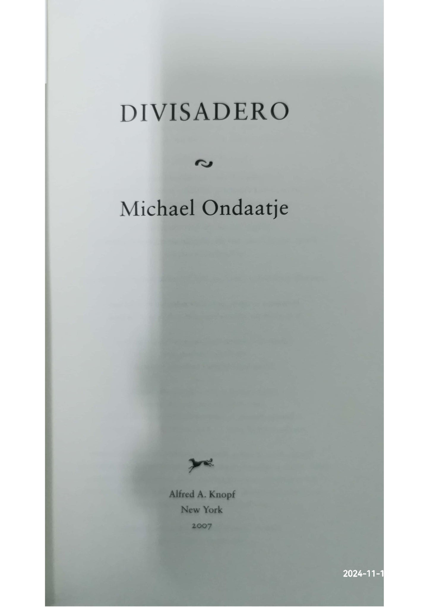 Divisadero Hardcover – HArdcover by Michael Ondaatje