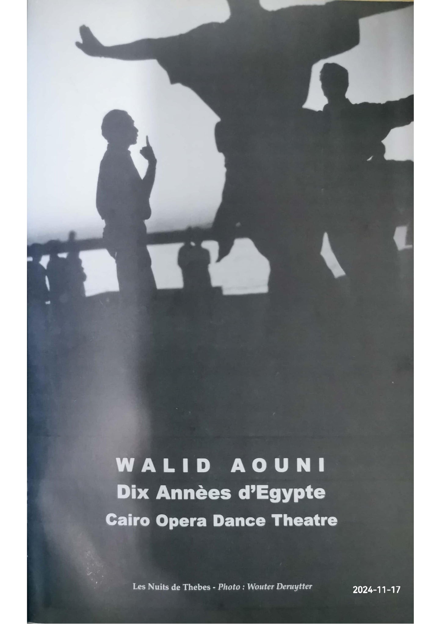 walid aouni dix annees d egypt