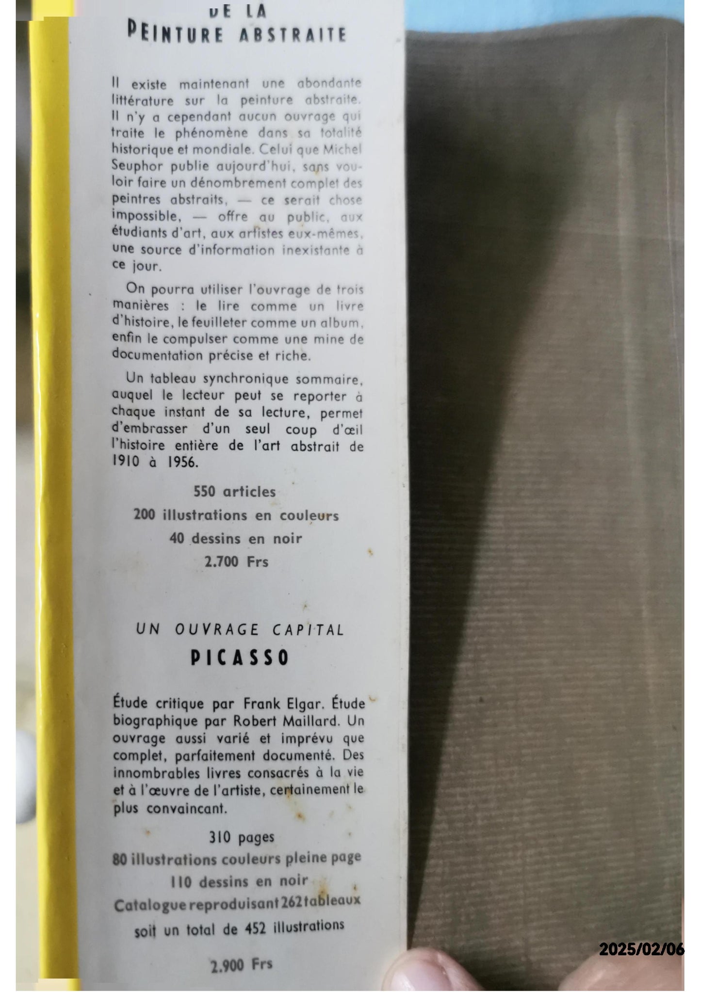 Dictionnaire de la peinture abstraite Michel Seuphor Edité par Hazan, 1957 Etat : Sehr gut Couverture rigide