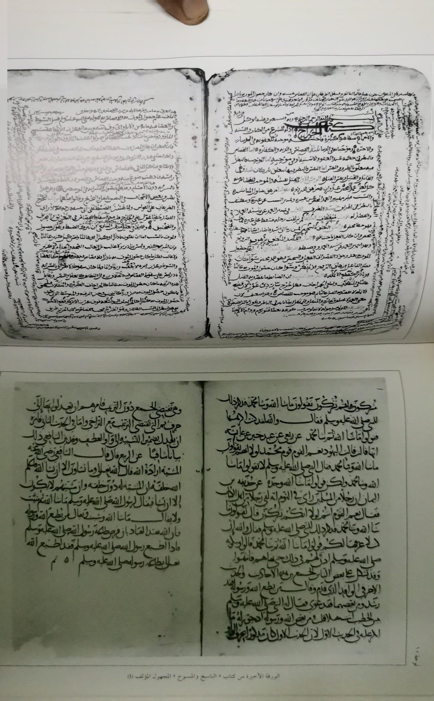 CATALOGUE DES MANUSCRITS ARABES DE L'IFAO Paperback – January 1, 1996 French Edition  by FUAD SAYYID A