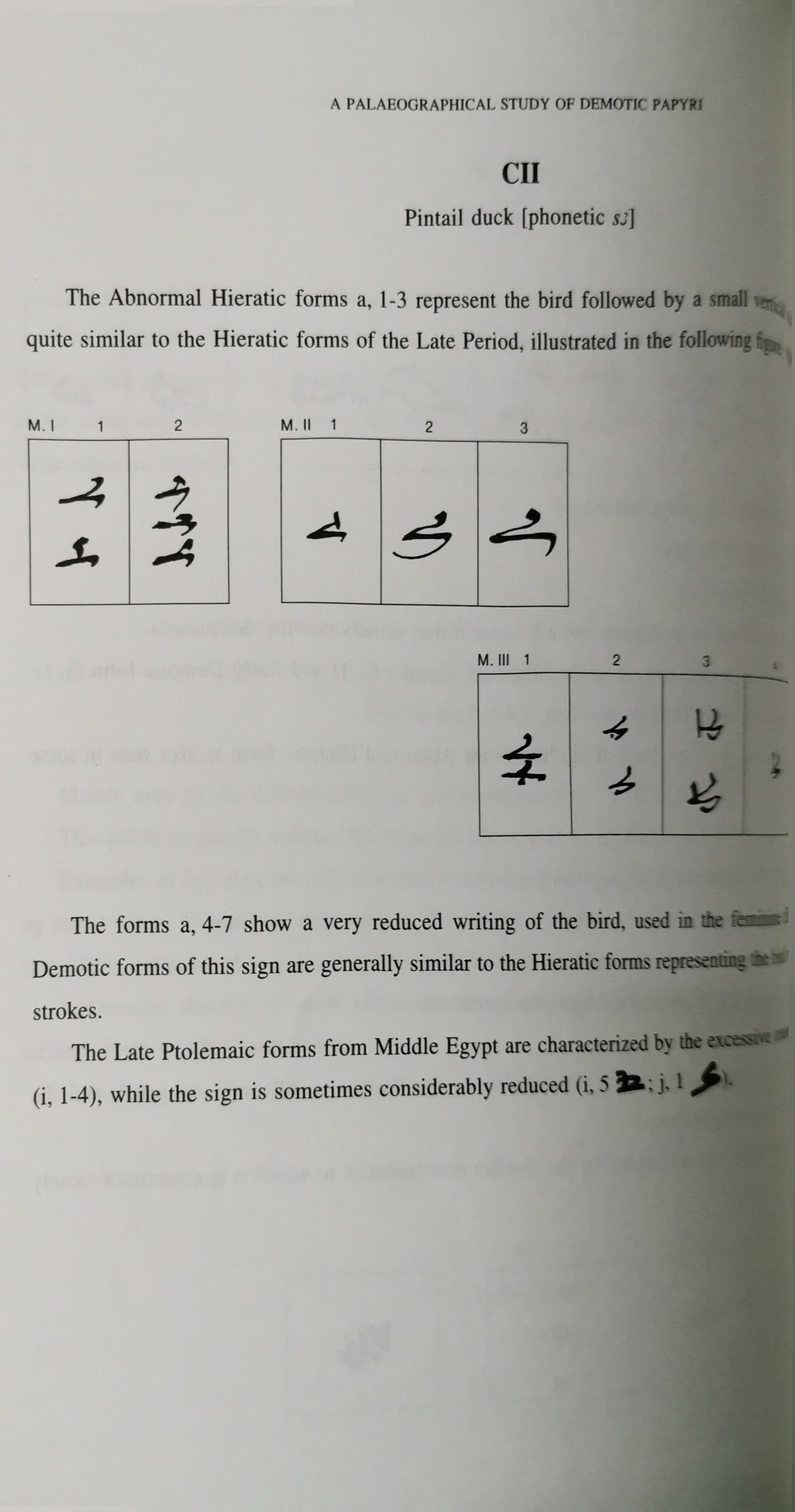 A Palaeographical Study of Demotic Papyri in the Cairo Museum from the Reign of King Taharka to the End of the Ptolemaic Period (684-30 B.C.)