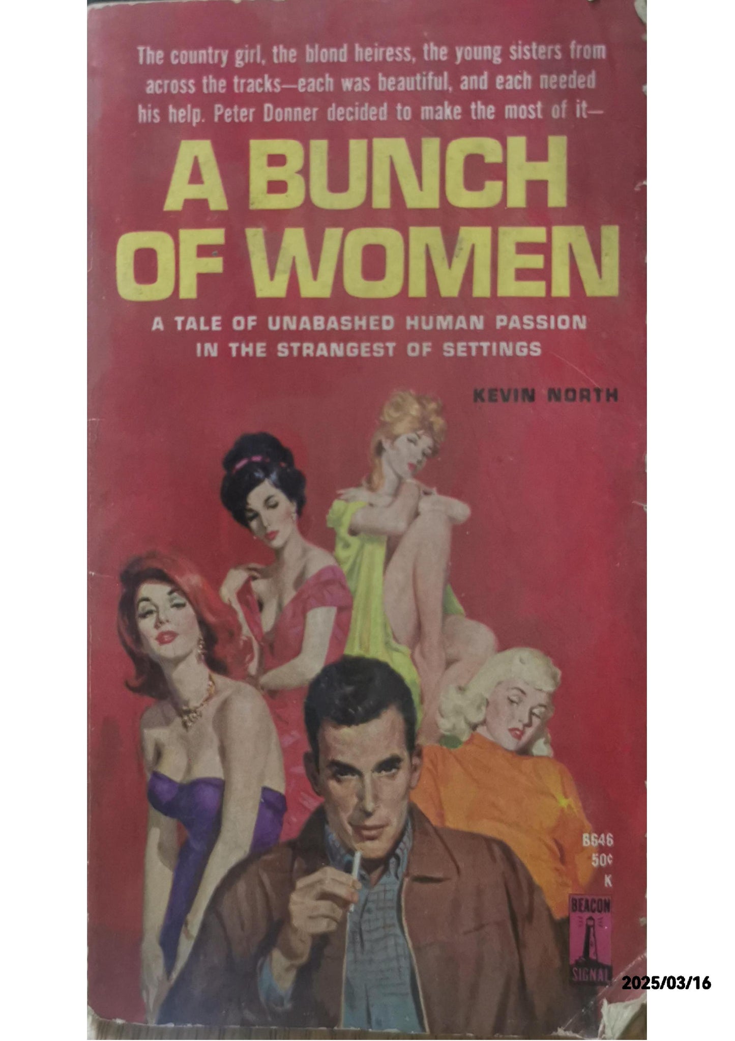 A Bunch of Women - Kevin North