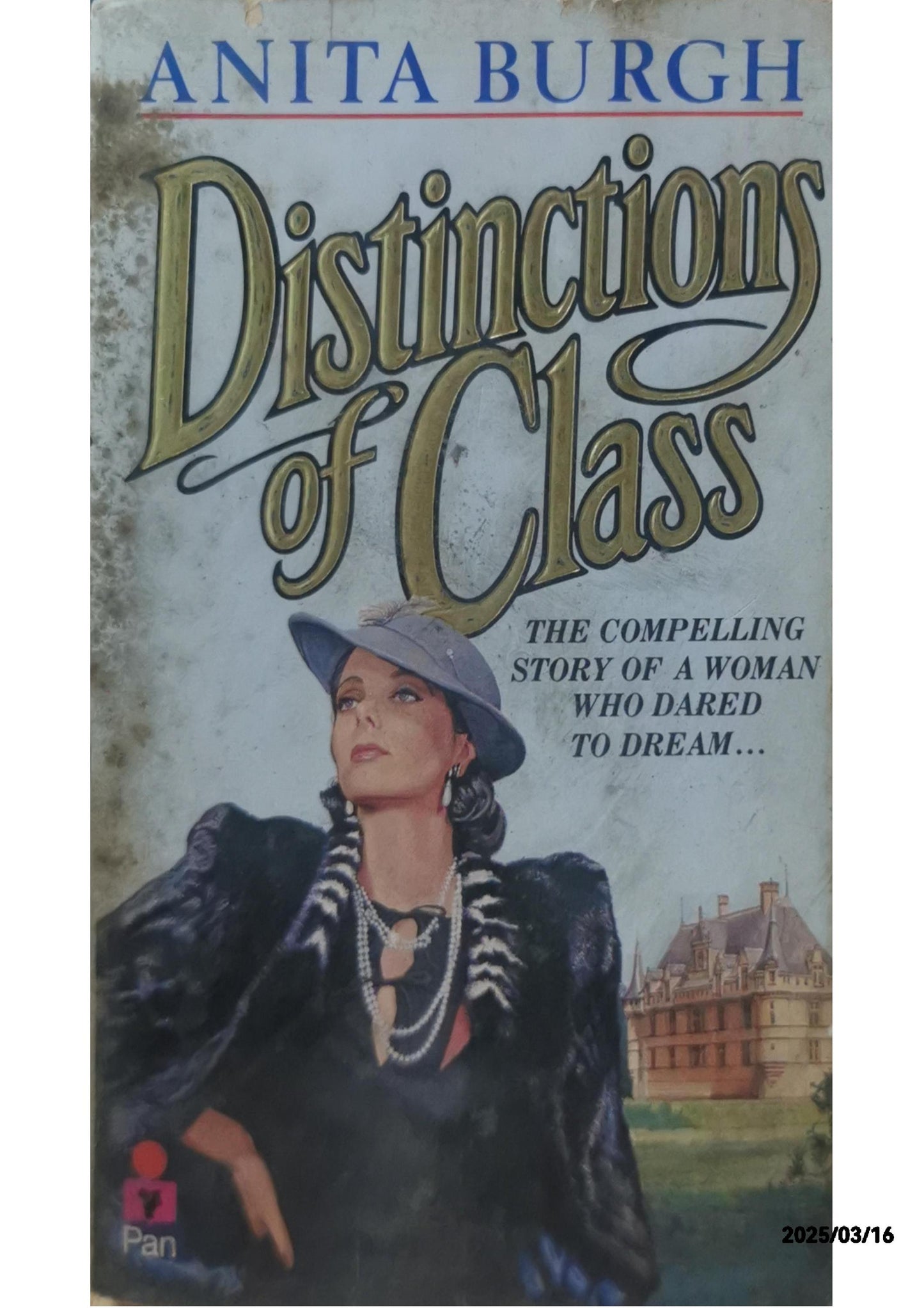 Distinctions of Class - Anita Burgh