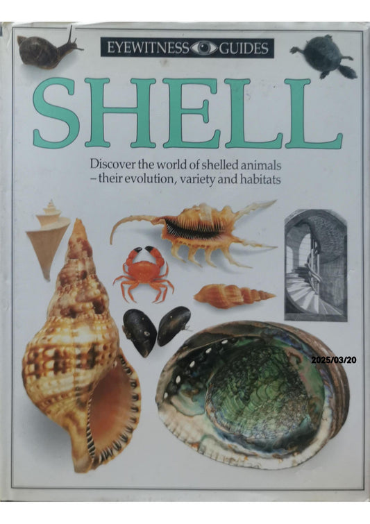 Shell - DK