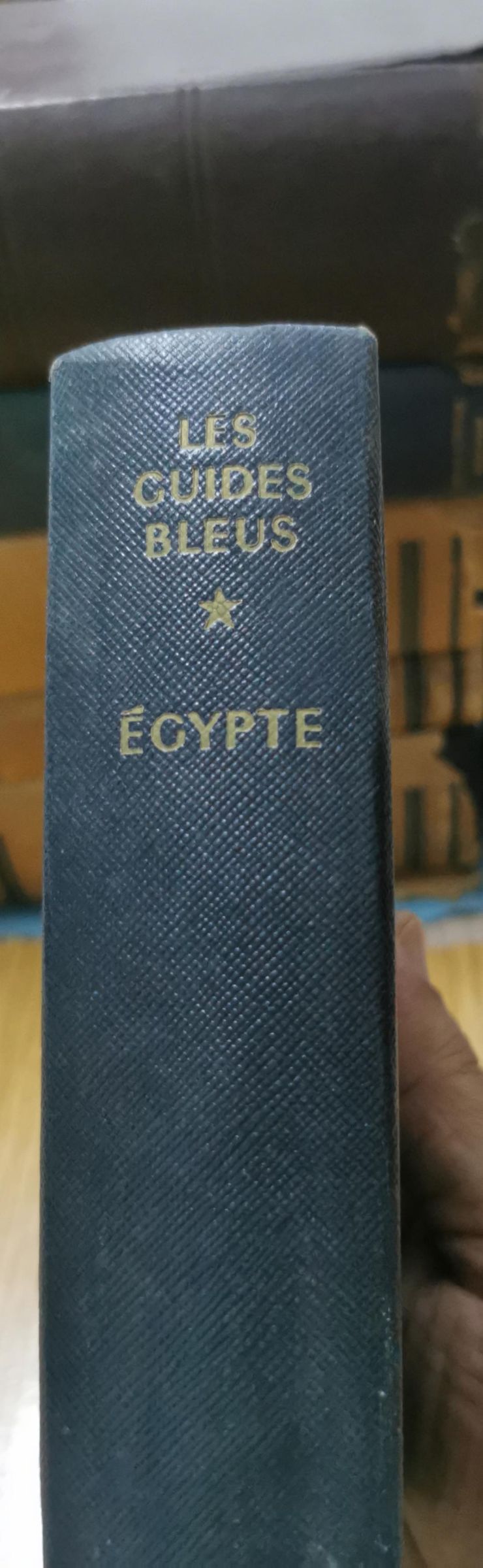 Égypte - Francis Ambrière Les Guides Bleus. EGYPTE: Le Nil Egyptien et Soudanais Du Delta a Khartoum Hardcover French Edition  by Francis Ambrière (Author)