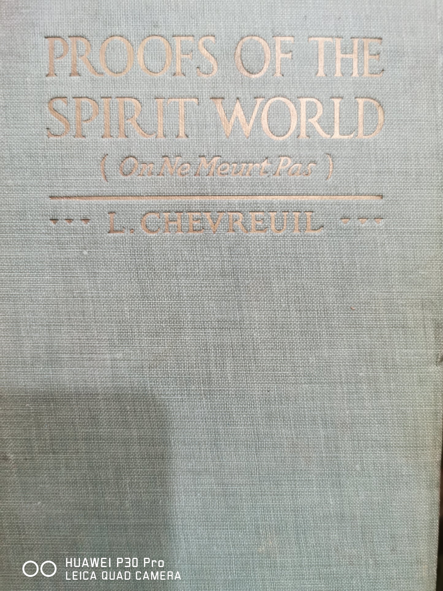 Proofs of the Spirit World (On Ne Meurt Pas)
Book by Léon Chevreuil