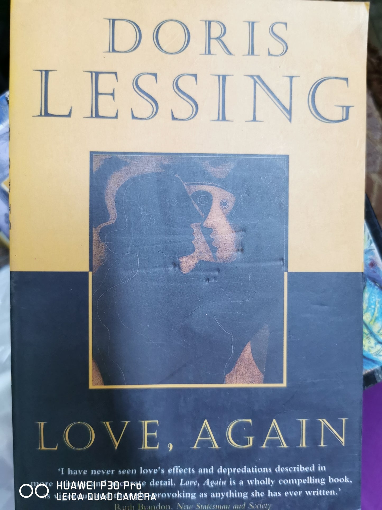 Love, Again
Book by Doris Lessing