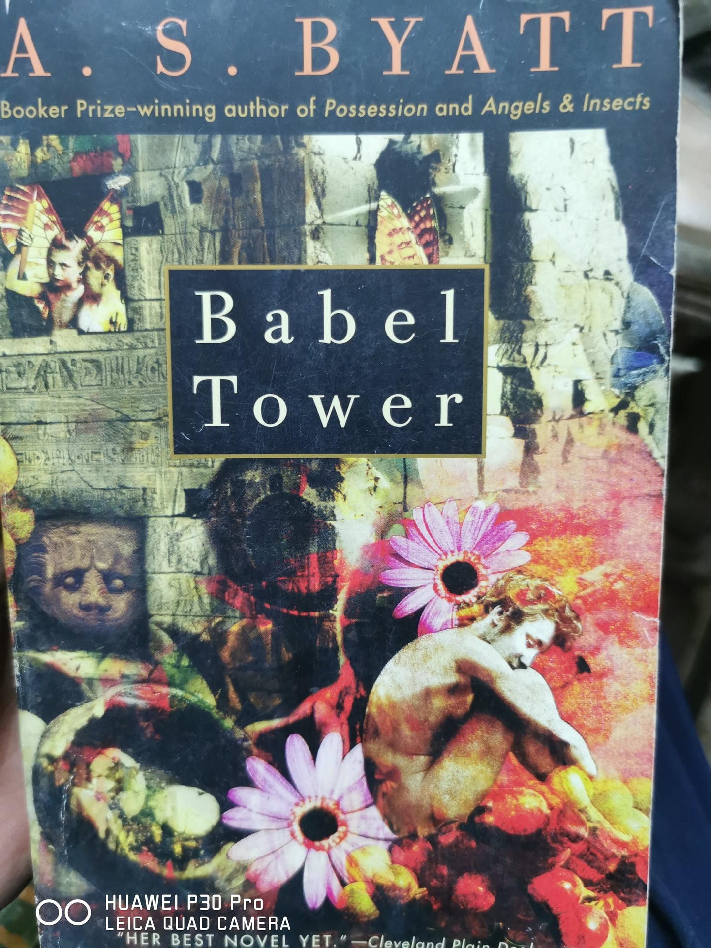 Babel Tower
Book by A. S. Byatt