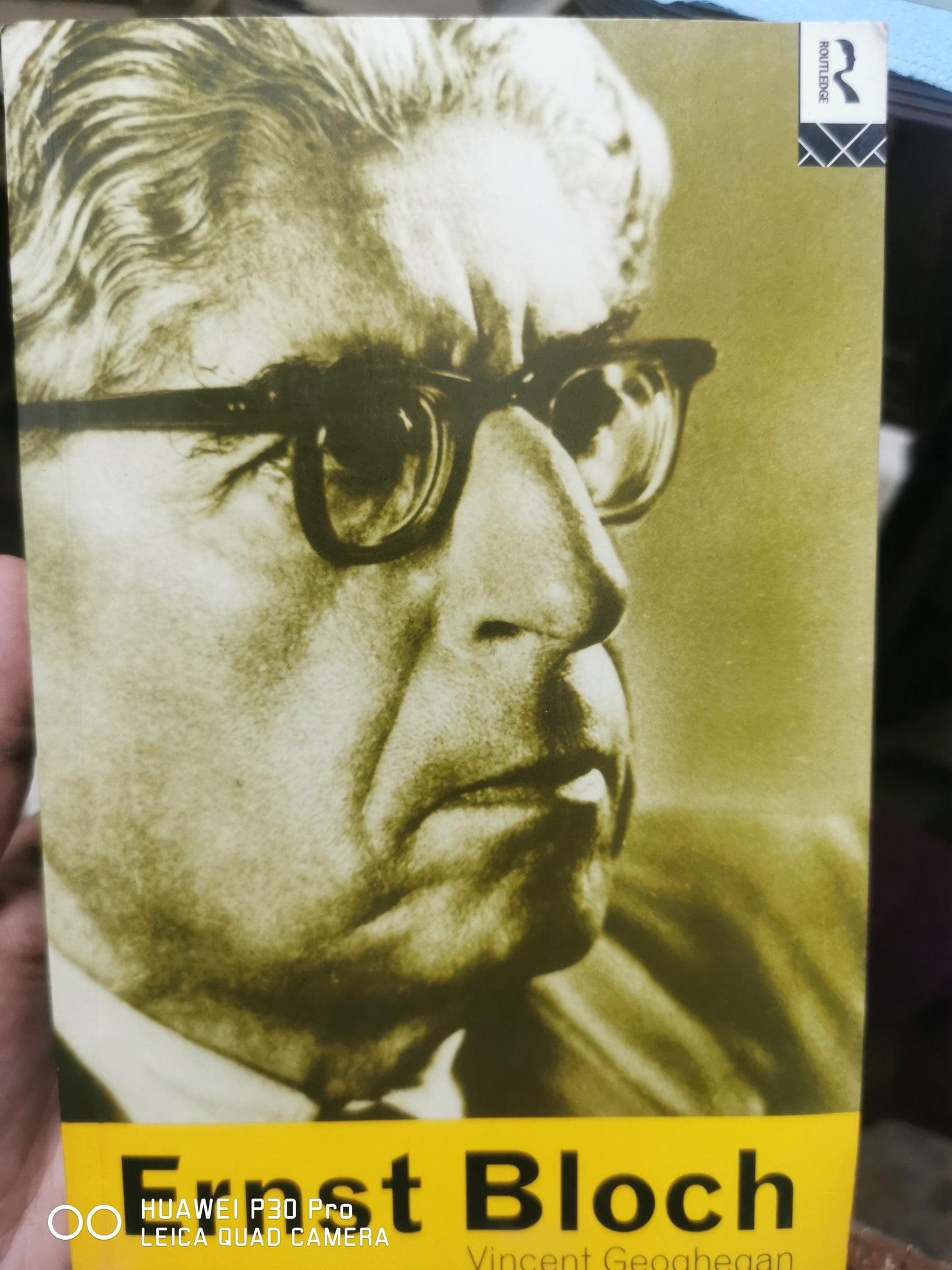 Vincent Geoghegan
Ernst Bloch
1st Edition