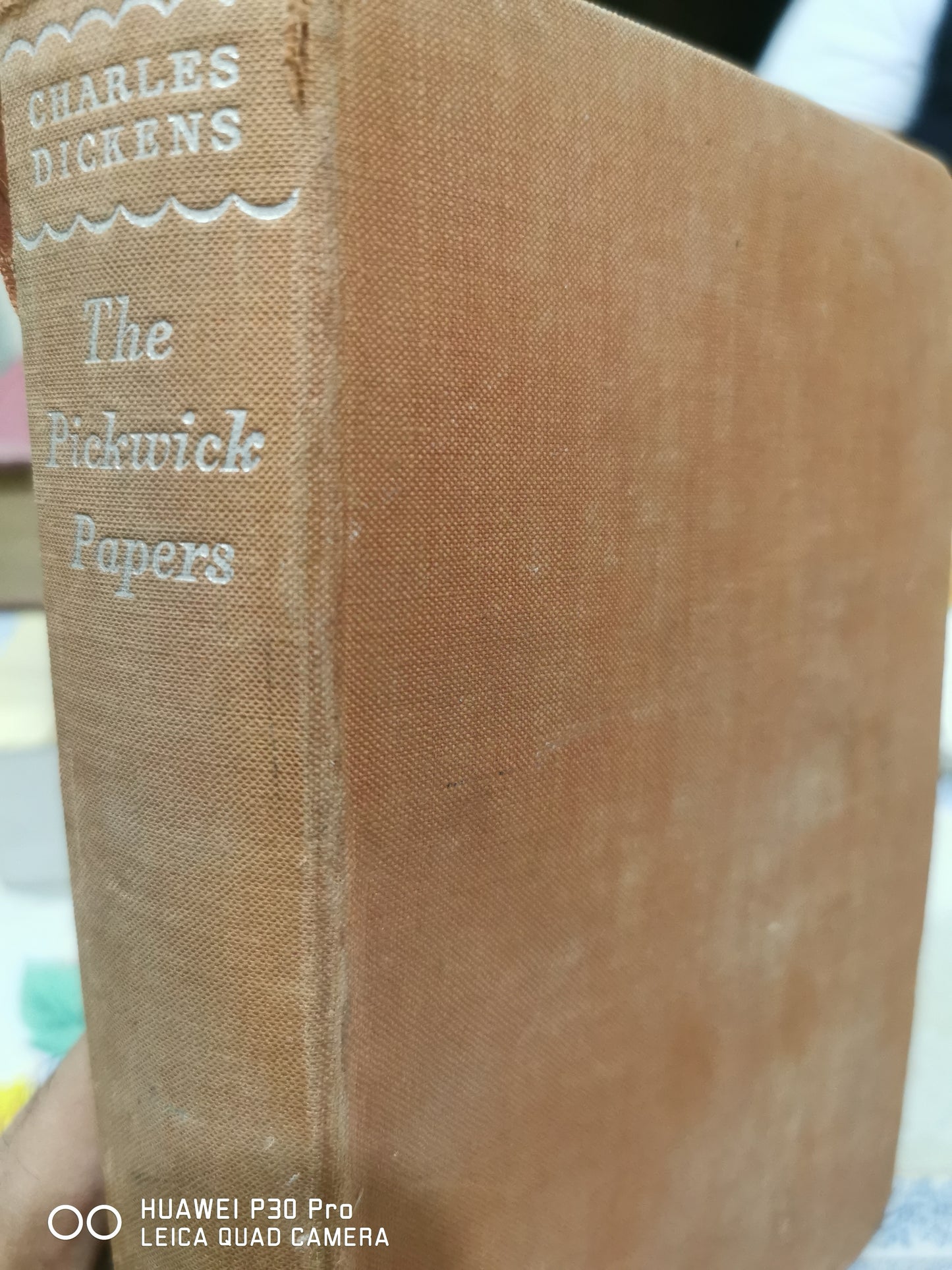 The Pickwick Papers
Novel by Charles Dickens